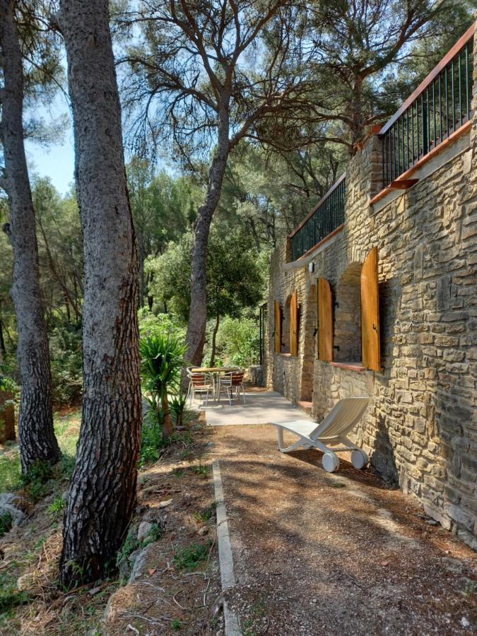 Les Pins Apartment Le Castellet  Exterior photo